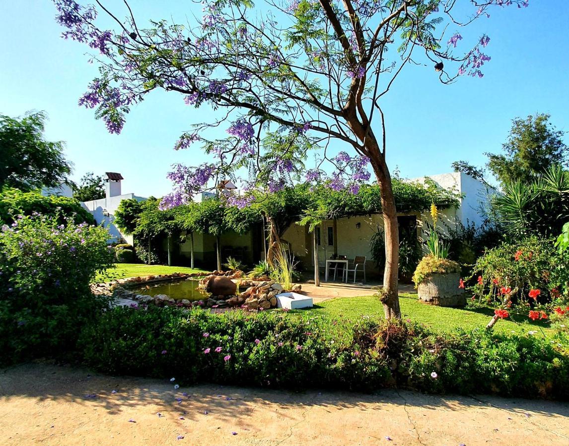 Casa Do Alto Bed and Breakfast Vilamoura Buitenkant foto